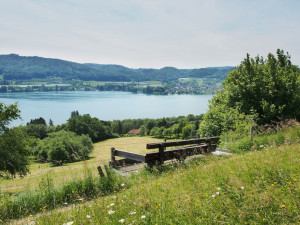 Blick vom Panoramaweg in Kattenhorn auf den Bodensee