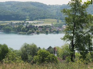 Ausblick auf den Bodensee vom Wanderweg