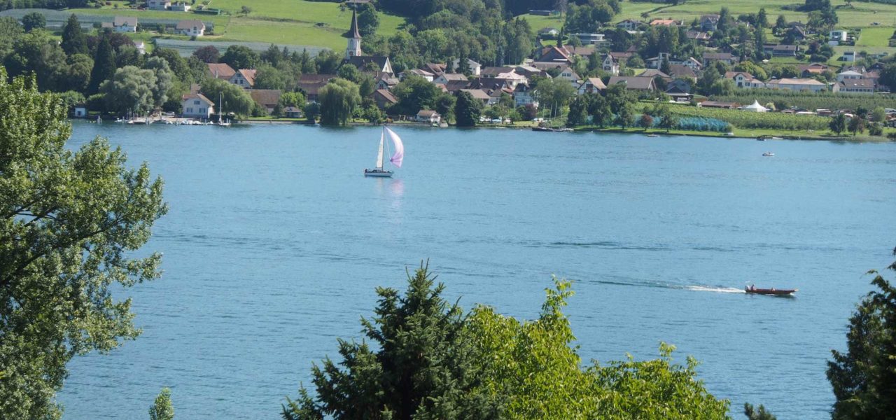 Ausblick von der Ferienwohnung am Bodensee