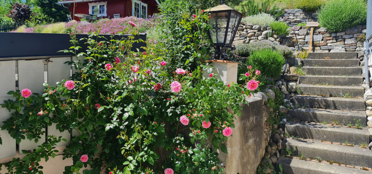 Aufgang von der Ferienwohnung in den Garten des Ferienhaus am Bodensee