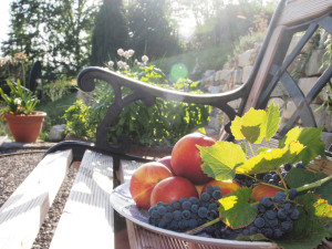 Gartenbank im Garten des Ferienhaus direkt am Bodensee