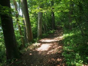 Rundweg am Untersee/Bodensee