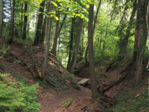 Klingenbachschlucht in der Nähe von Öhningen